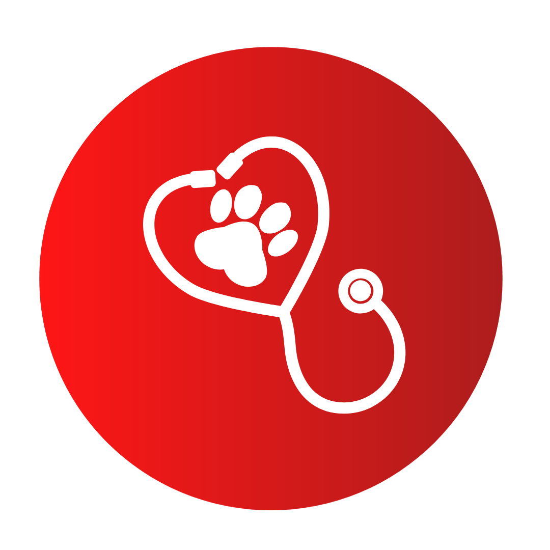Conoces la Importancia de un Seguro para Mascotas 2
