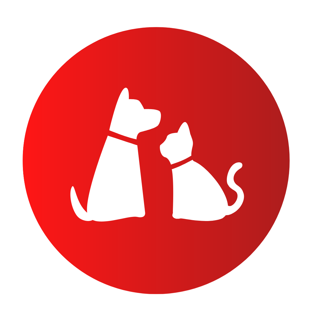 Conoces la Importancia de un Seguro para Mascotas 3