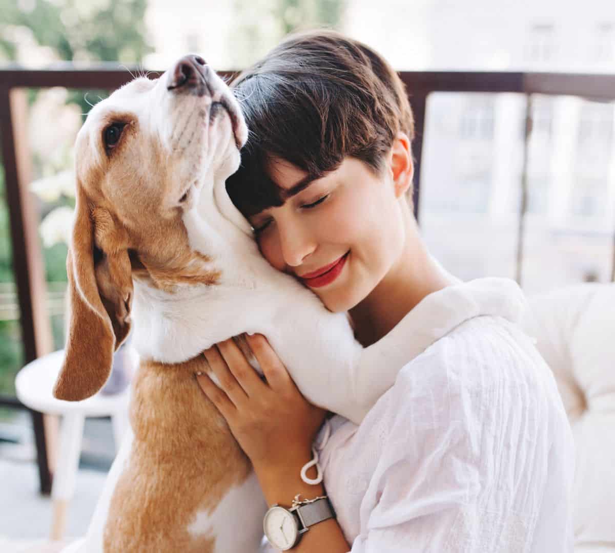 Conoces la Importancia de un Seguro para Mascotas